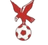 https://img.sa-overseas.com/img/football/team/4802d26df935b78bb2fcdbbff36e8864.png